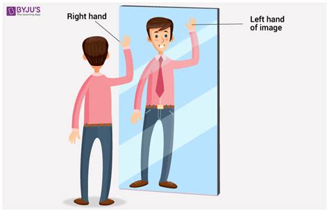 Image result for Lateral Inversion Experiment