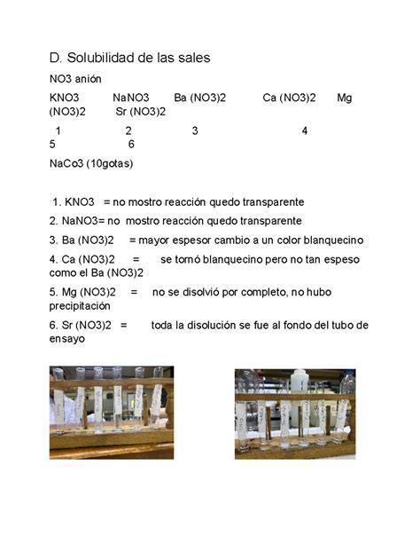 Lab3 - problemas - D. Solubilidad de las sales NO3 anión KNO3 NaNO3 Ba ...