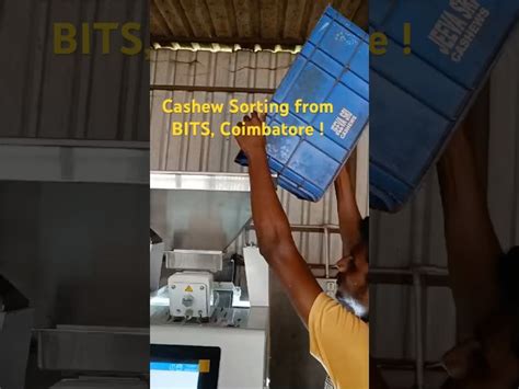 Sorting Machine - Mini Cashew Color Sorting Machine Service Provider ...