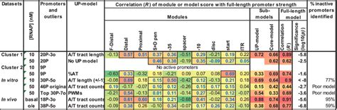 Promoter Region Models 的图像结果