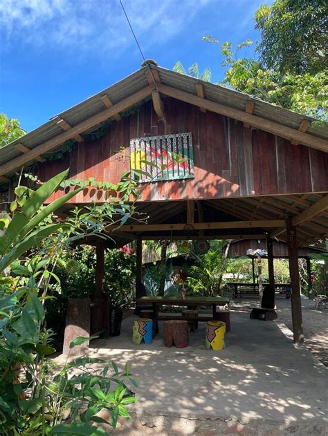 CAMPING PICUA (Amajari) - Campground Reviews & Photos - Tripadvisor