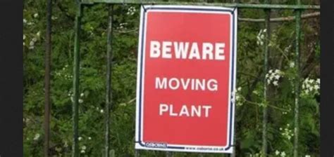 Feed me Seymour? : r/oddlyterrifying