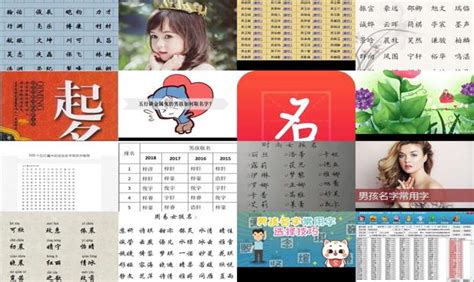 【起名字】应用信息-安卓App|华为-七麦数据