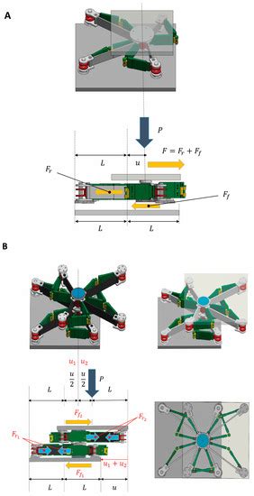 An Experimental and Mechanical Study of a Two-Layer, Bioinspired ...