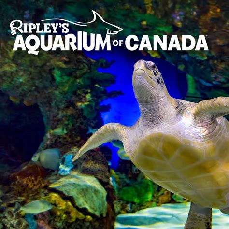 Ripley’s Aquarium Toronto