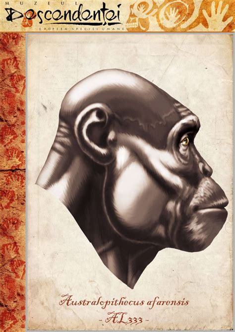 Image result for Australopithecus Reconstruction