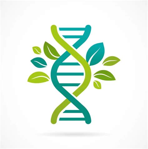 Image result for DNA Tree