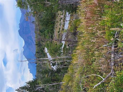 ALPINE STABLES (2026) All You Need to Know BEFORE You Go (with Photos ...