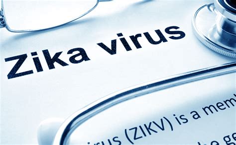 Zika Virus: Symptoms, Facts And Prevention - Goodknight