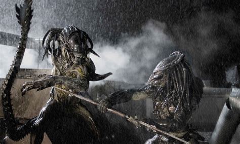 Image result for Alien vs Predator Temple