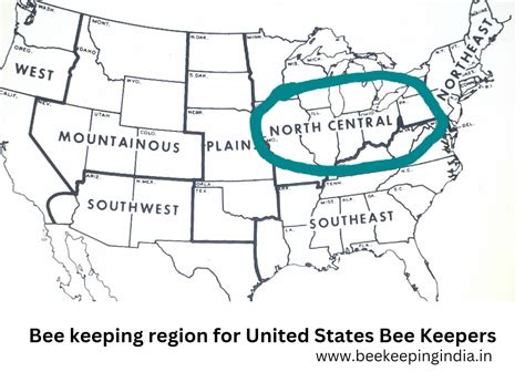 Bee Keeping North Central in United States