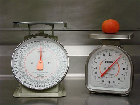 Different Types Of Weight Scales