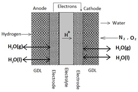 Design and Analysis of Gas Diffusion Layers in a Proton Exchange ...