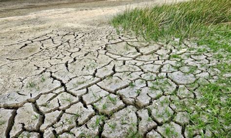 Climate change having uneven impact on worlds arid regions