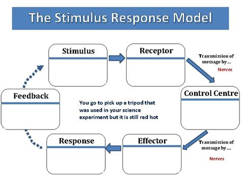 Image result for Control System Stimulus-Response Model