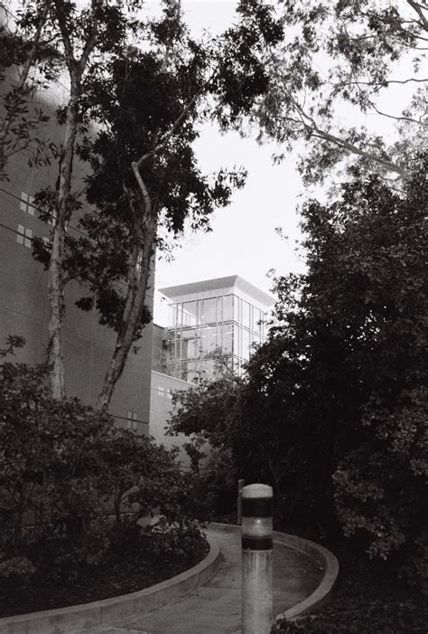 Engineering Hall through the trees on film : r/UCI