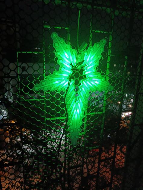 Buy MatForest Multicolor LED Star Lights - Indoor/Outdoor Festive Decor ...