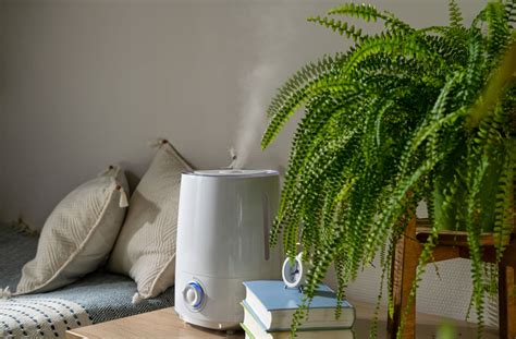 Dry Eye and Cloudy Vision: What to Know