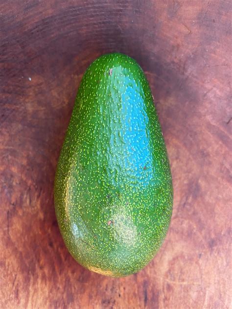 The Fascinating World of Green Skin Avocados — Organically Grown Company