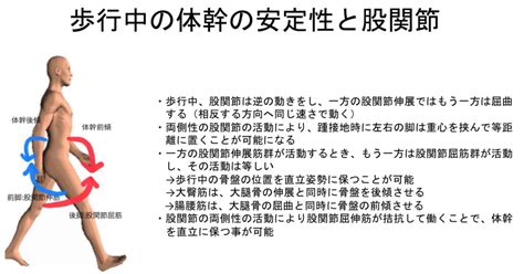 Image result for Heent Narrative Note Example