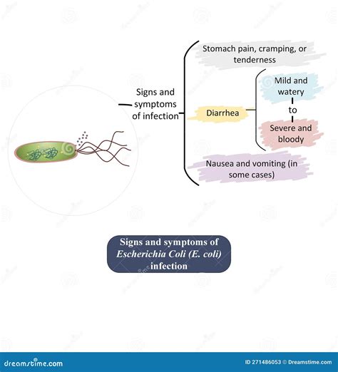Does Regular Soap Kill E Coli at John Macdonald blog