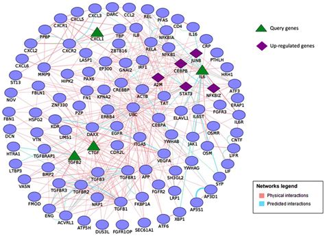 Cancer–Osteoblast Interaction Reduces Sost Expression in Osteoblasts ...