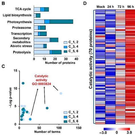 Image result for Multivariate Classification