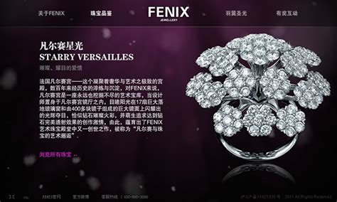 Fenix – Portfolio of Shanghai UBICHINE Web Agency - 上海专业网站设计开发