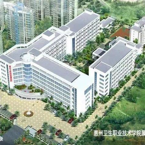 2021年惠州卫生职业技术学院附属医院招聘公告_人员_考核_水口街道