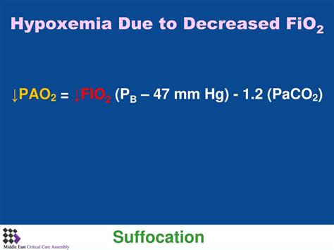 Image result for PaO2/FiO2 Equation