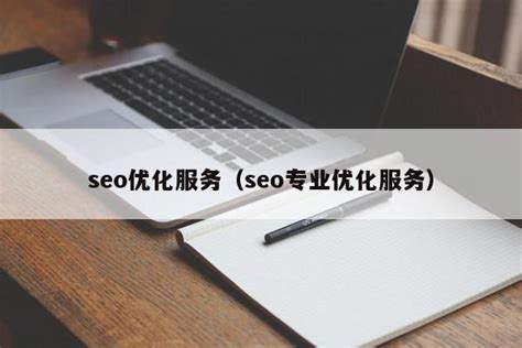 seo专业优化服务（seo专业优化公司） - 恩派SEO