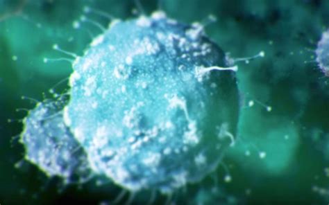 Basic Science Development 的图像结果