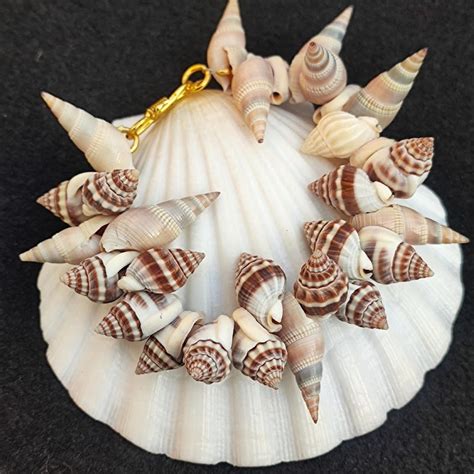 Shell Bracelet 的图像结果
