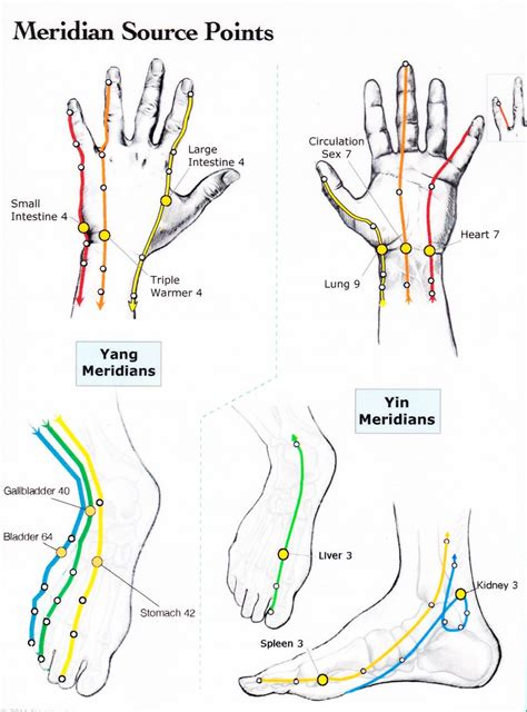 Image result for Meridian Tapping Points Chart