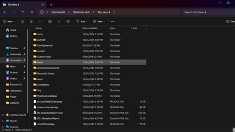 Image result for Where Do Script Files Go Sims 4