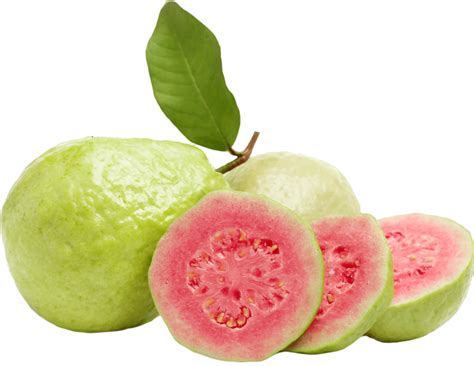 Best Guava Varieties – Gardenshoppy