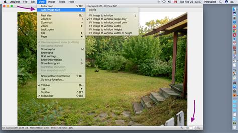Image result for XnView Acquire into Screen