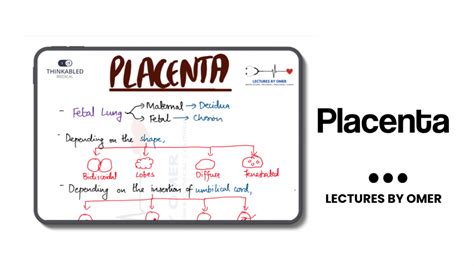 Placenta Development Notes Anatomy 的图像结果