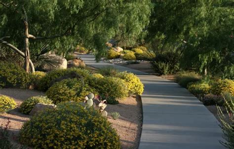 Wallpaper greens, summer, green, plants, garden, track, Park, summer ...