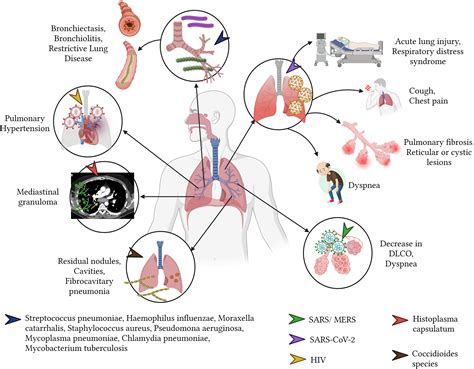 Frontiers | Beyond the acute phase: a comprehensive literature review ...