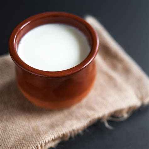 Unlocking the potential benefits of probiotics for diabetics