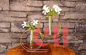 Copper Habit Metal and Glass with 2 Test Tube Planter for Home Decor ...