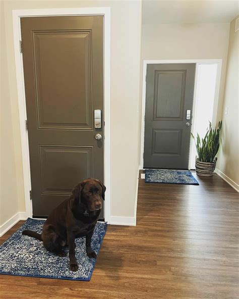 Sherwin Williams Porpoise SW 7047: Paint Color Review