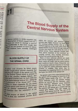 The visual pathway - Human neuro Anatomy - Introduction to Anatomy ...
