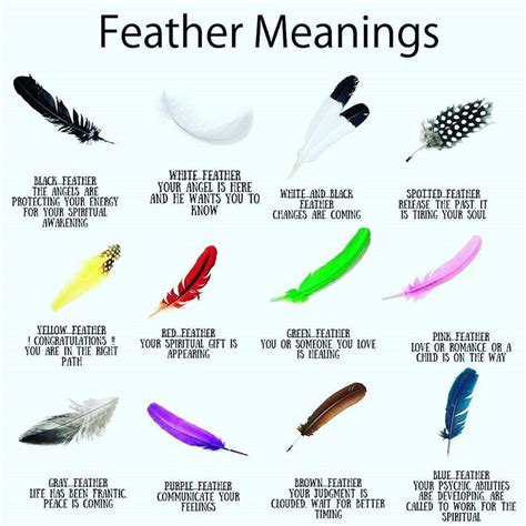 Image result for Python Script Icon Blue Feather