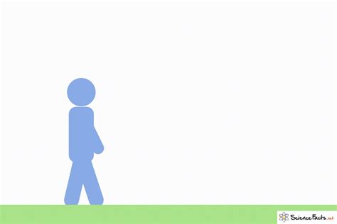 Image result for What Is Displacement