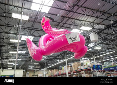 Image result for How to Deflate Inflatable Flamingo