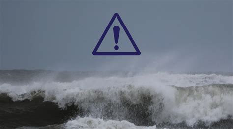 31st of August 2023 | Whale Safari - Closer to Nature