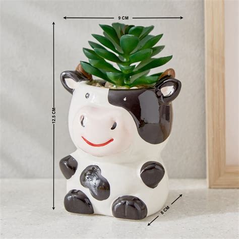 Buy Gloria Marine Artificial Succulent in Ceramic Pot from Home Centre ...