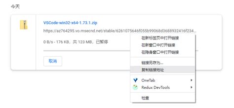 vs Code Downloader 的图像结果